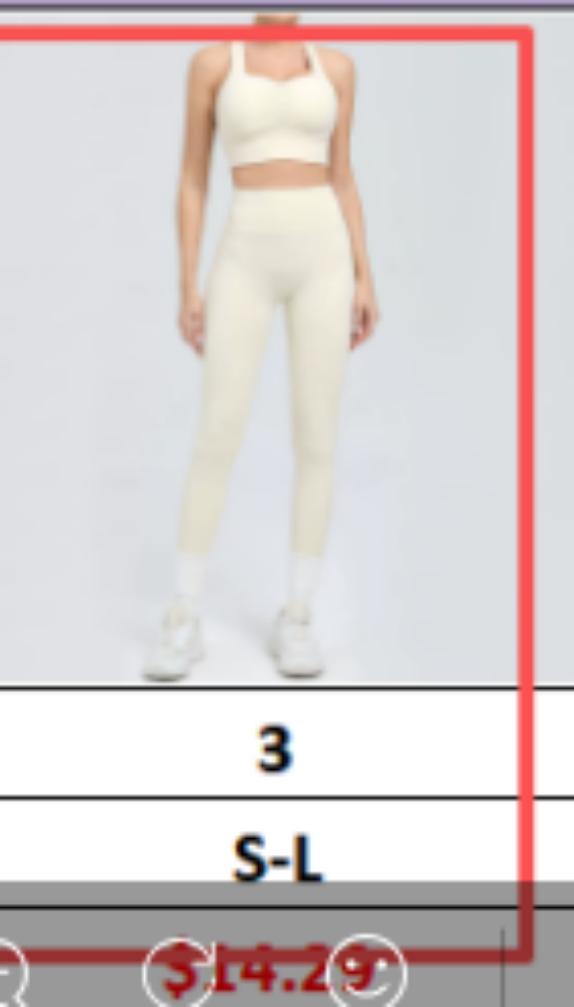 WBLS-NY-001 Women’s sports bra and leggings set